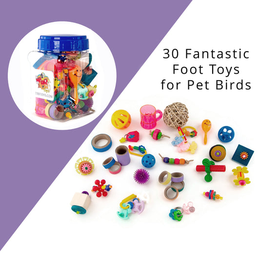 Jar of Foot Toys - Bird Toys
