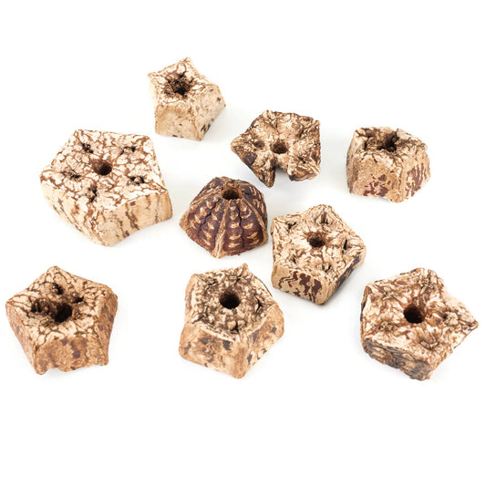 Mahogany Pod Slices for Bird Toys, Easy to Chew or Shred