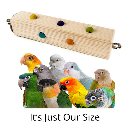 A wooden perch toy hanger with colorful beads on it, designed to be attached to a bird's cage.