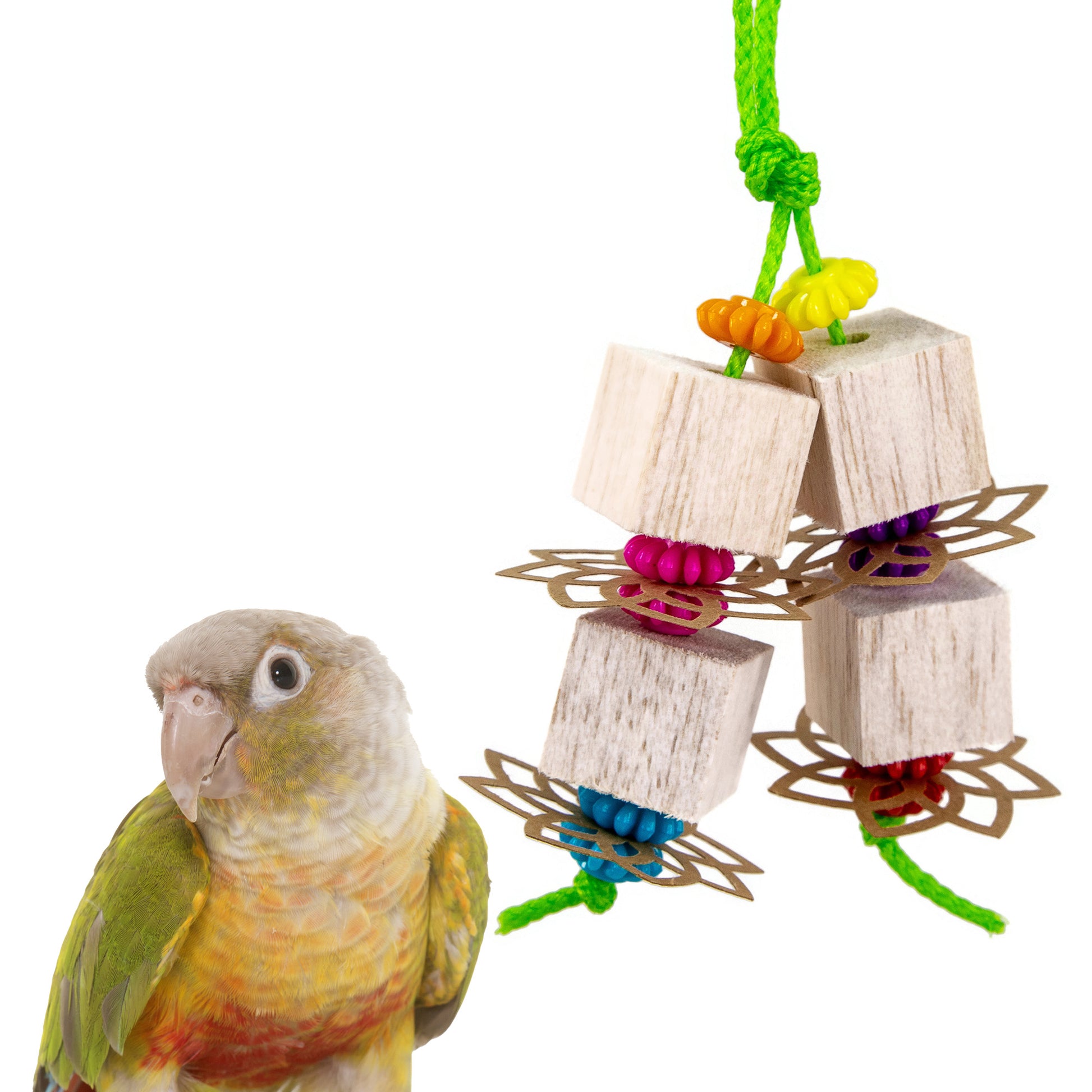 Balsa cubes strung on plastic poly rope alternating with fun paper cut outs and colorful plastic beads. Shown with a green cheeked conure standing nearby.