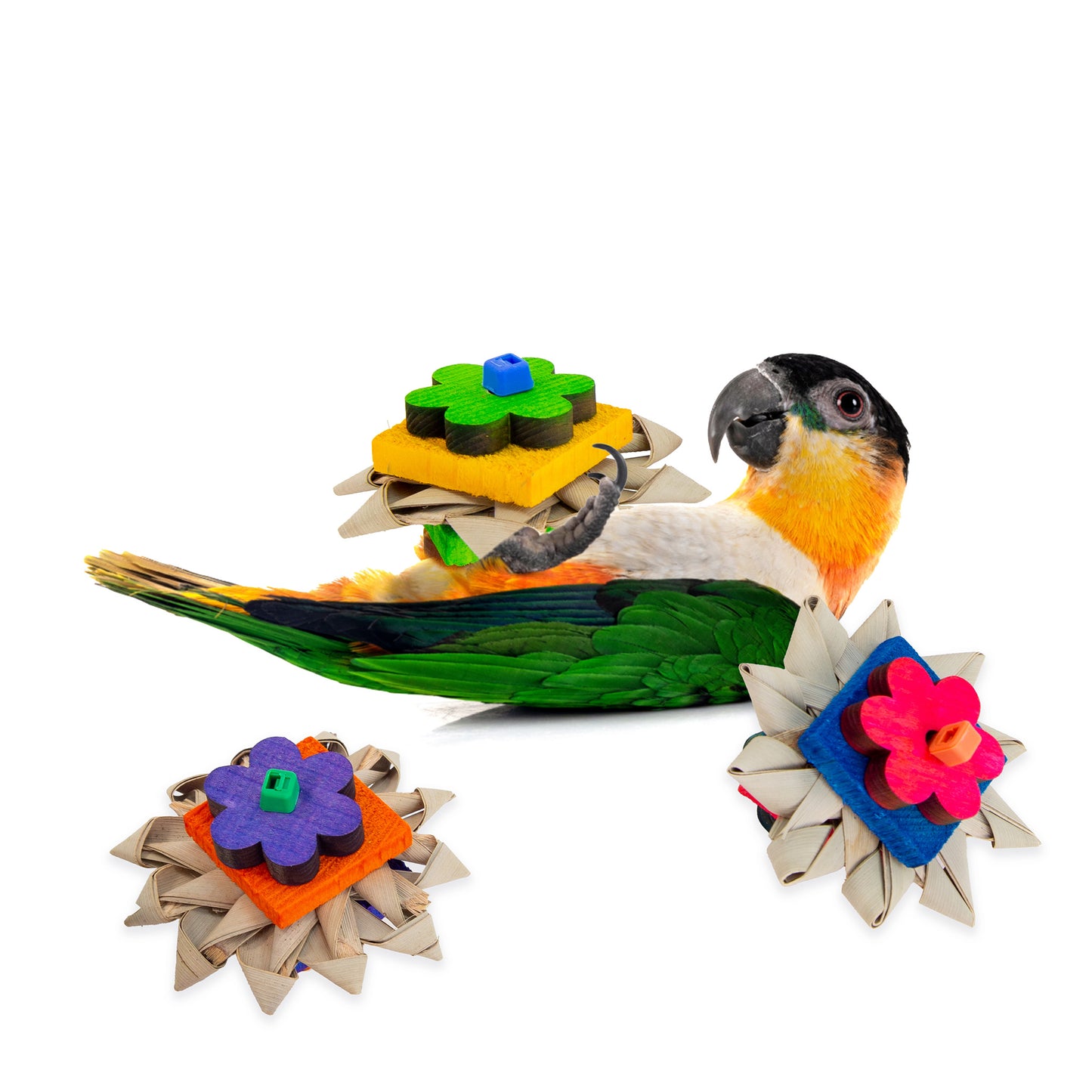 Palm leaf and wood foot toys with a caique parrot. 3 toys per pack.