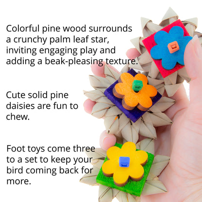 Palm leaf and wood foot shown in a hand. 3 toys per pack.