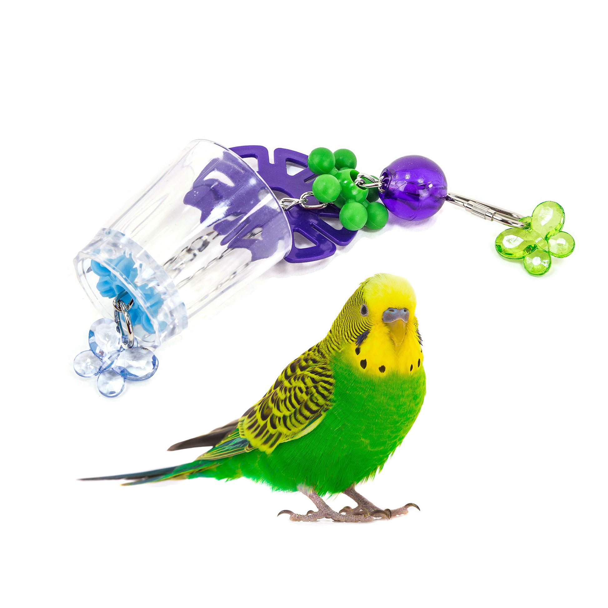A clear plastic foraging cup with blue and green decorations, attached to a chain with a green budgie sitting next to it.