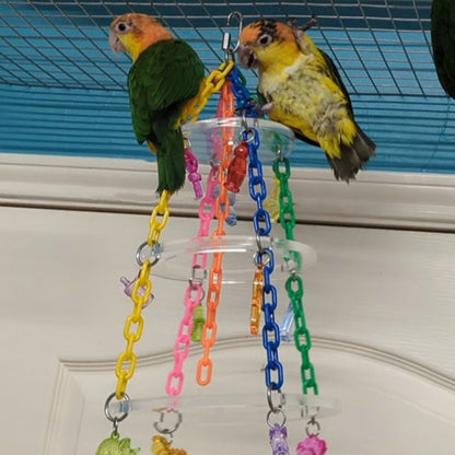Two caiques play together on the hanging bird toy.