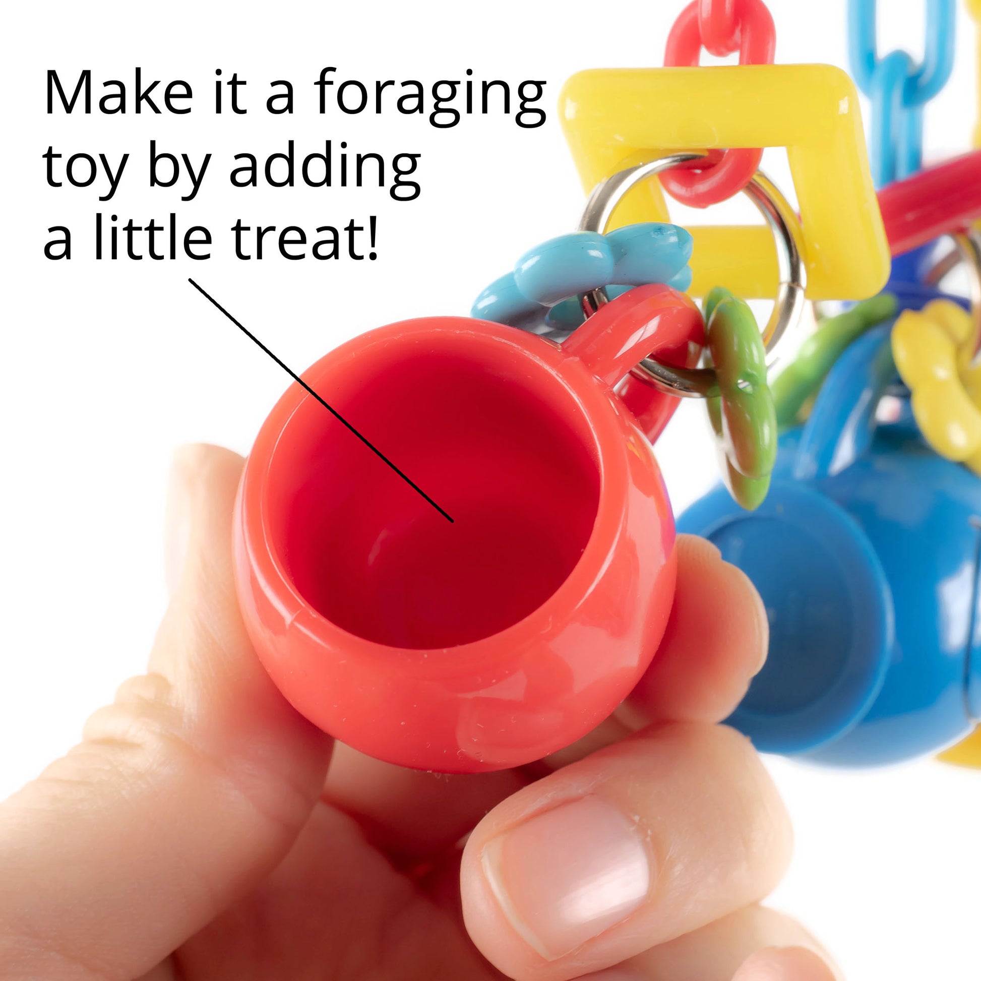Make it a foraging toy by adding a treat.