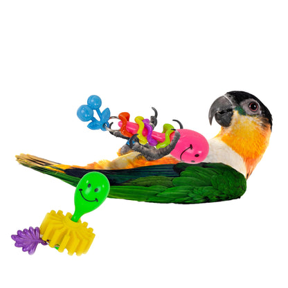 Black-headed caique parrot with two smiley faced maraca foot toys.