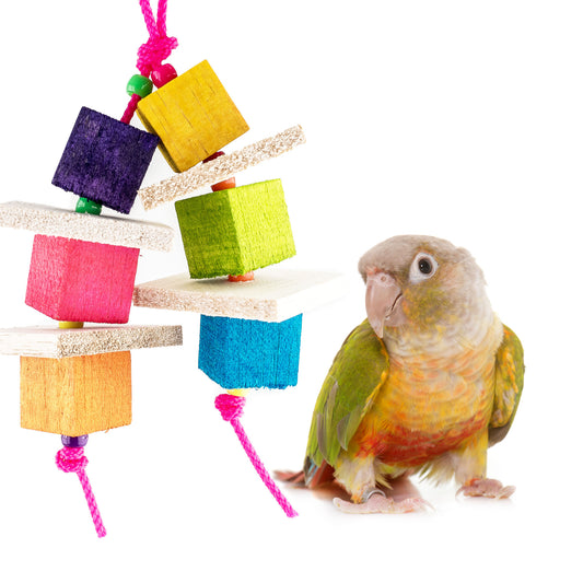 Colorful bird toy with a pineapple green cheeked conure for scale.