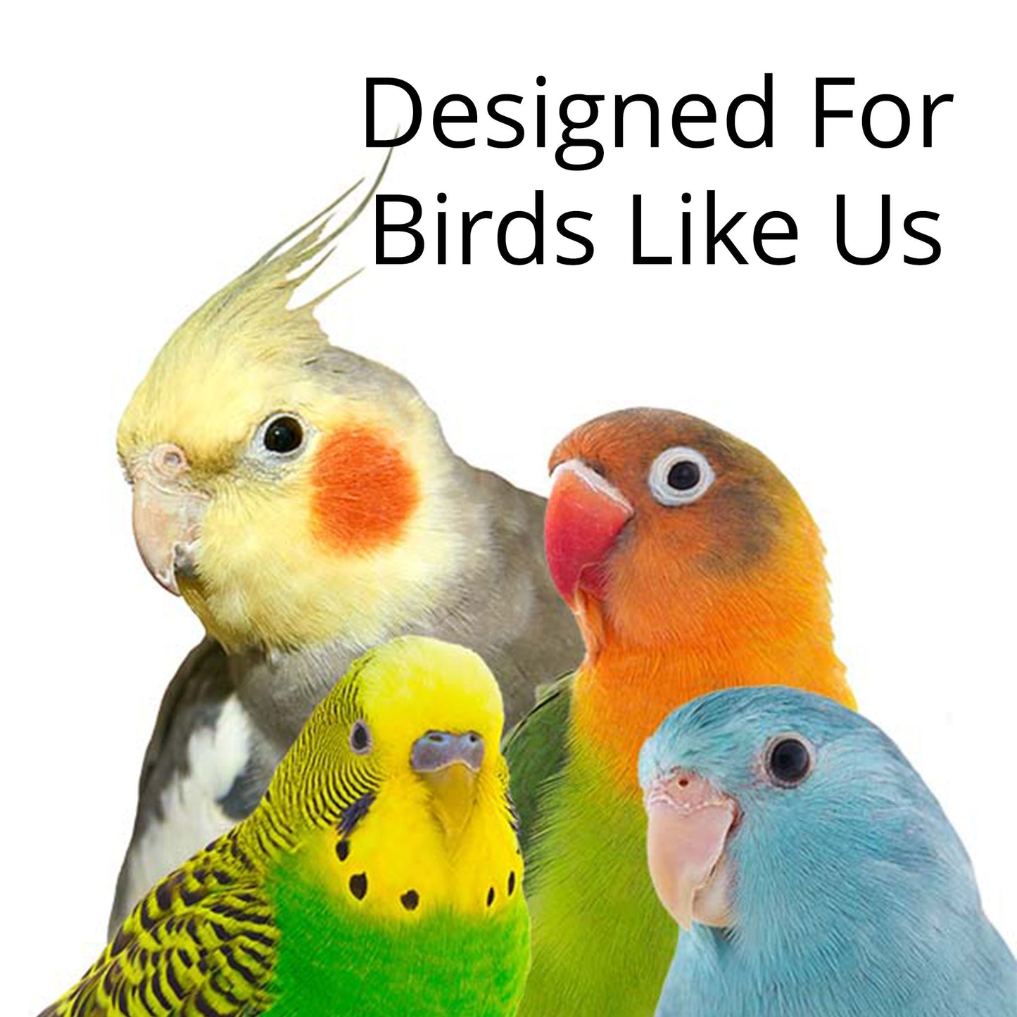 Wink – Balsa Toy for Small Birds