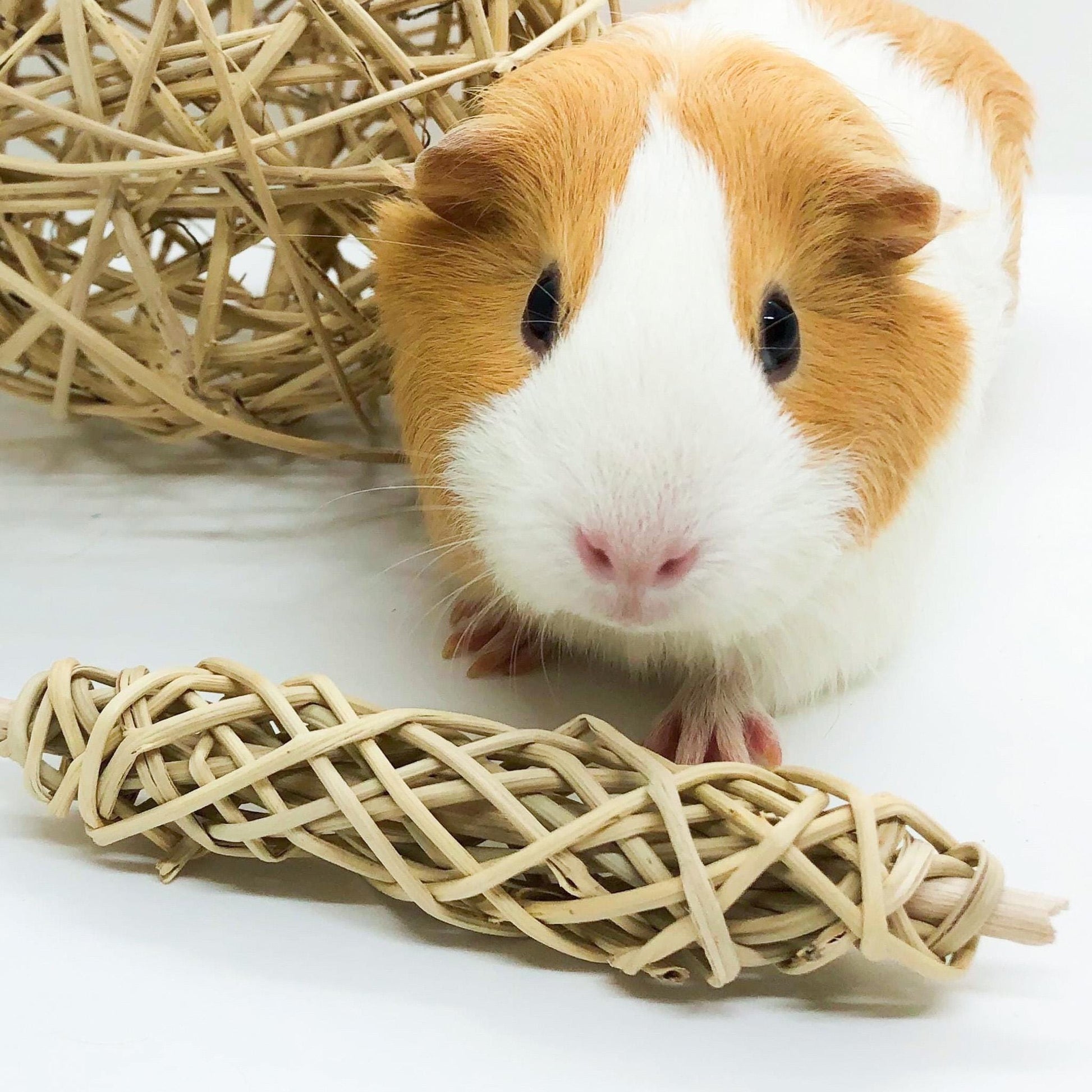 Mega Chew Toy Bundle for Rabbits, Guinea Pigs, Chinchillas - Small Pet Natural Enrichment Collection