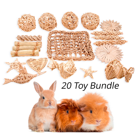 Natural Nibbles - Chew Toy Collection for Bunny Rabbits, Guinea Pigs and Chinchilla, Great Gift