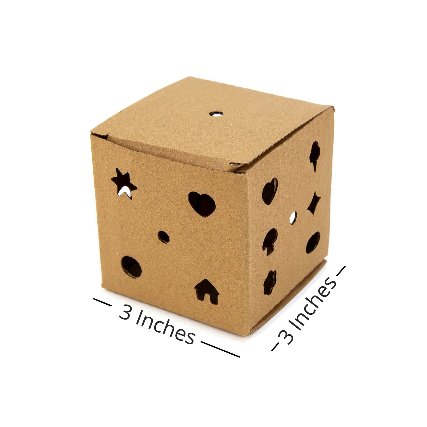 Peek-a-boo Foraging Box
