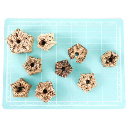 Mahogany Pod Slices for Bird Toys, Easy to Chew or Shred