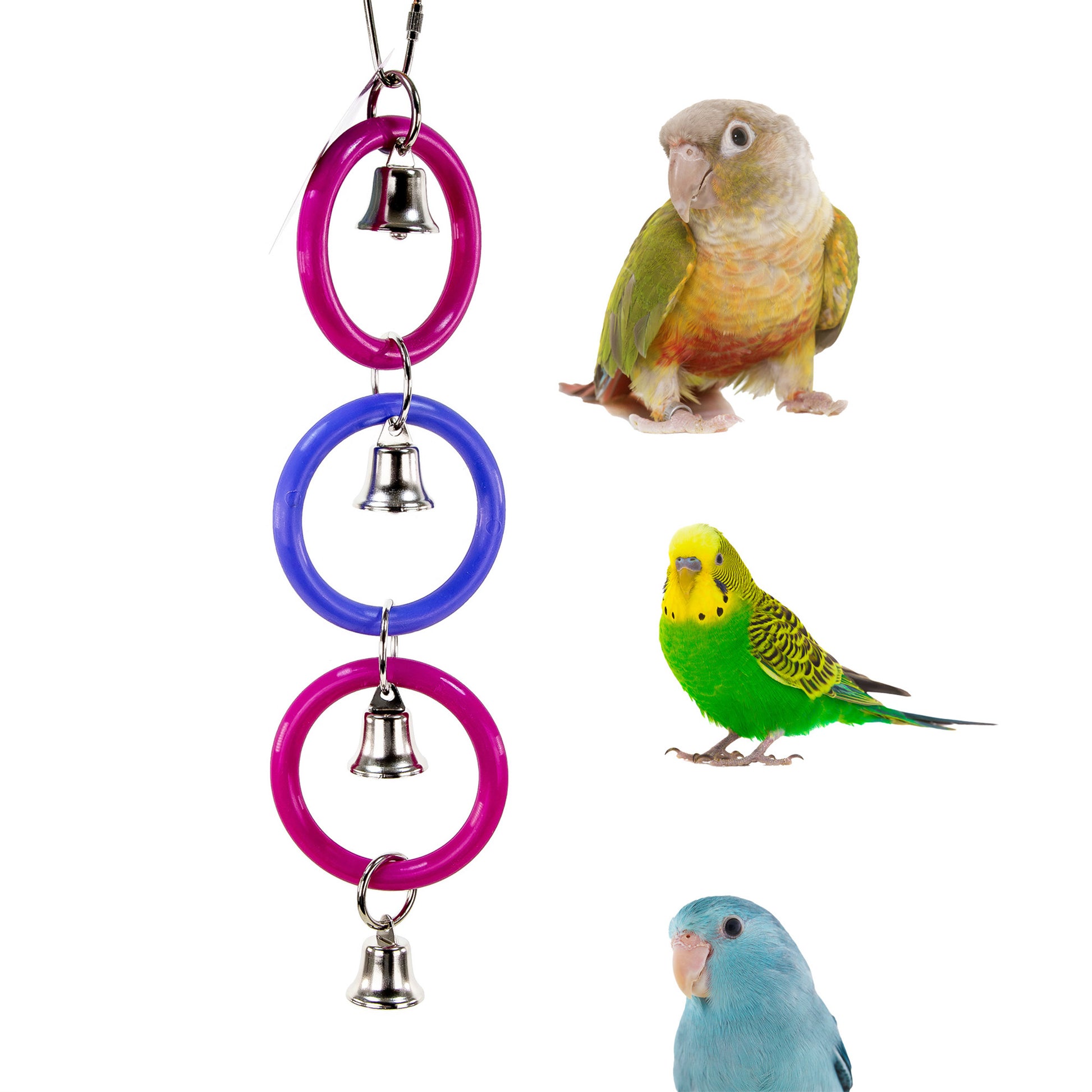Three ring circus bird toy shown with a green cheek conure, budgie and parrotlet.