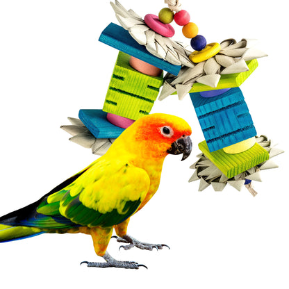 Conure standing next to the tropical teaser bird toy.