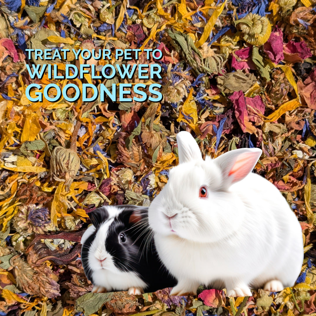 Wildflower Wellness - 100% organic herbal bird food